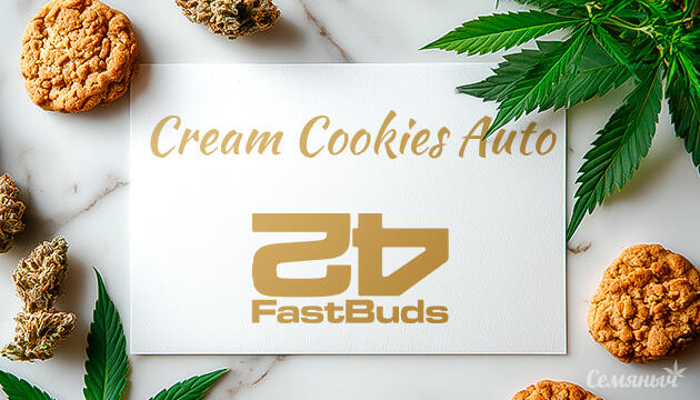 Гроурепорт сорта Cream Cookies Auto от сидбанка FastBuds